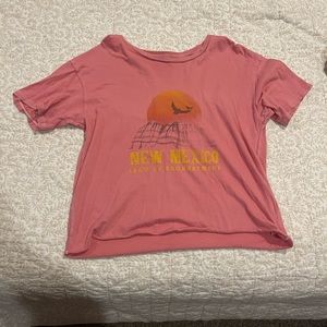 Pink American eagle New Mexico shirt